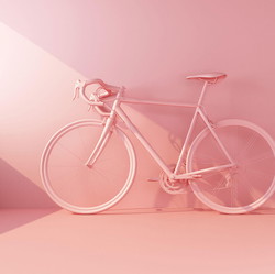 Fahrradversicherung