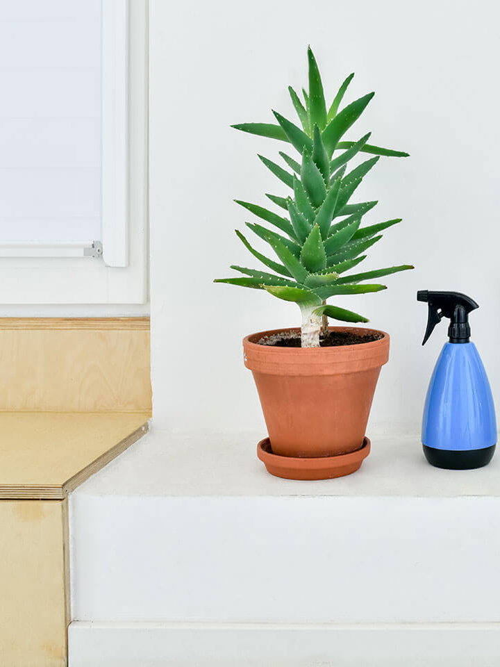 Broker- & Depot-Vergleich