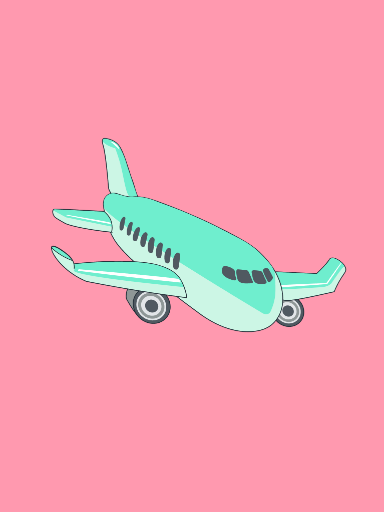 Was darfst Du aus einem Flugzeug mitnehmen?