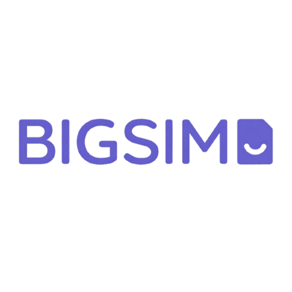 BigSim Logo